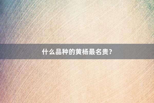 什么品种的黄杨最名贵？