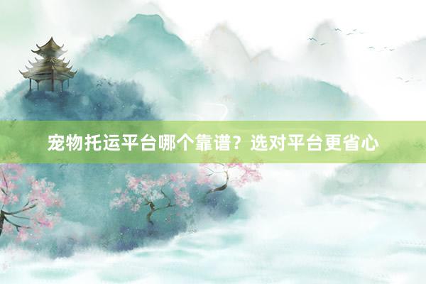 宠物托运平台哪个靠谱？选对平台更省心